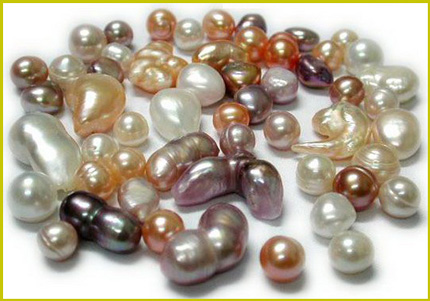 морской жемчуг